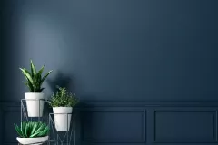 Decoration_Peinture_Gausseer_Jonathan
